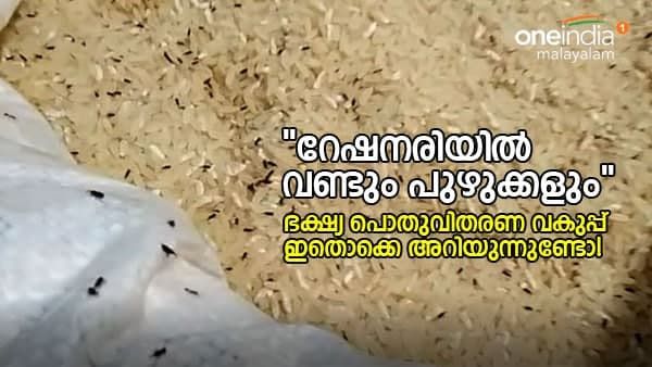 അരിയിൽ വണ്ടുകളും പുഴുക്കളും; സംഭവം വിതുര ബോണക്കാട്ടെ റേഷൻകടയിൽ; കേടായ ഭക്ഷ്യവസ്തുക്കൾ പിടിച്ചെടുത്തു