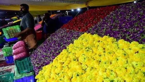 കൊവിഡ് തരംഗം അവസാനിച്ചിട്ടില്ല, പക്ഷേ പ്രതീക്ഷ നല്‍കി പൂക്കാലം, ഓണപ്പൂക്കളുടെ വില ഇങ്ങനെ