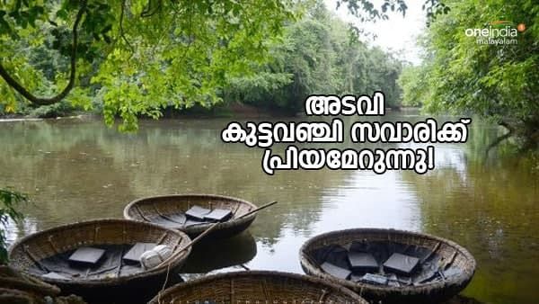 കാടിൻ്റെ കുളിർ നിറഞ്ഞ് കുട്ടവഞ്ചി സവാരി; കല്ലാറിലെ ഓളങ്ങളിൽ തട്ടിയുള്ള കാനനഭംഗിയും ഇവിടെ ആസ്വദിക്കാം!!!