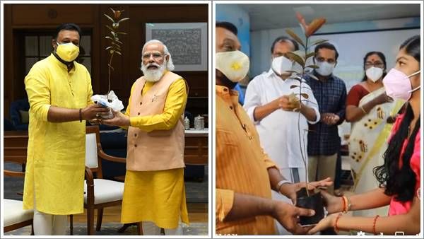 ജയലക്ഷ്മിക്ക് നല്‍കിയ വാക്ക് സുരേഷ് ഗോപി പാലിച്ചു; ആ പേരത്തൈ ഇനി പ്രധാനമന്ത്രിയുടെ വസതിയില്‍ വളരും