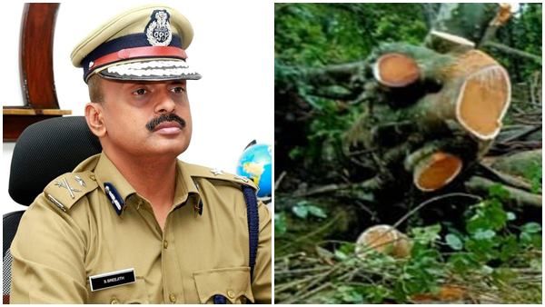 അനധികൃത മരംമുറി; അന്വേഷണത്തിന് ജില്ലകളിൽ പ്രത്യേക ക്രൈംബ്രാഞ്ച് സംഘങ്ങൾ