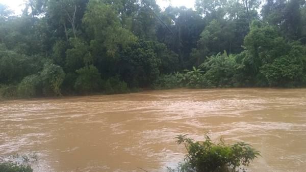 പത്തനംതിട്ടയിലും കോട്ടയത്തും കനത്ത മഴ, നാലിടത്ത് ഉരുൾപൊട്ടിയതായി വിവരം, കാർ ഒലിച്ച് പോയി