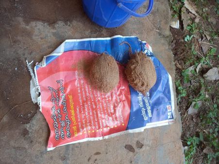 സ്‌കൂള്‍ ശുചീകരണത്തനിടെ കണ്ടെത്തിയത് ബോംബ്; സംഭവം കണ്ണൂരിലെ ആറളം സ്‌കൂളില്‍