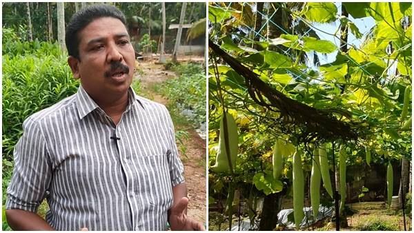 ഇനി മുതൽ ചതുപ്പിലും കൃഷി ചെയ്യാം; കൃഷിയിടത്തെ സമൃദ്ധമാക്കി കോണ്ടൂർ ഗ്രൂപ്പ്