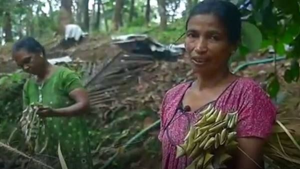 ദീപാവലിയിൽ പ്രതീക്ഷയോടെ കേരളത്തിൻ്റെ ശിവകാശി; കമ്പക്കെട്ടിൽ ആശാന്മാരുടെ മുഖമുദ്രയിൽ നന്ദിയോട് ഗ്രാമം