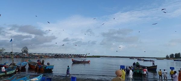 'ഞങ്ങള്‍ എങ്ങനെ ജീവിക്കുന്നുവെന്ന് നിങ്ങള്‍ചിന്തിച്ചിട്ടുണ്ടോ'? ദുരിത ചുഴിയില്‍ മത്സ്യത്തെഴിലാളികള്‍