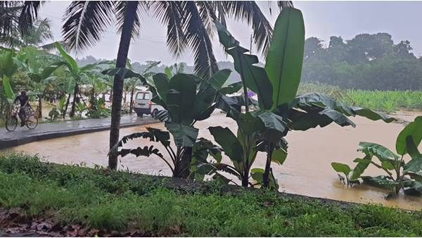 ഇന്നും നാളെയും ഒറ്റപ്പെട്ട ശക്തമായ മഴയ്ക്ക് സാധ്യത; 11 ജില്ലകളിൽ യെല്ലോ അലർട്ട്; മഴ മുന്നറിയിപ്പുകൾ ഇങ്ങനെ...