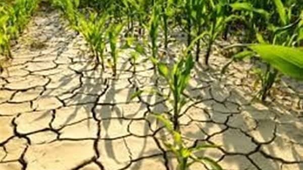 'കേരളം സാക്ഷിയാകാൻ പോകുന്നത് അതീവ വരൾച്ചയ്ക്ക്'; സംസ്ഥാനത്തിന് ശാസ്ത്രജ്ഞന്റെ നിർദ്ദേശം