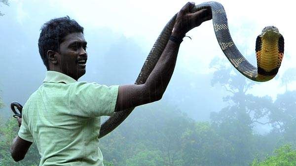 വാവ സുരേഷിന്റെ വെൻറിലേറ്റർ ദൃശ്യങ്ങൾ പ്രചരിപ്പിച്ചവർ കുടുങ്ങും; അന്വേഷണം ഊർജ്ജിതം