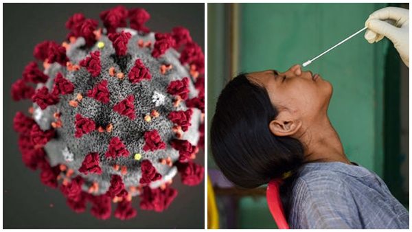 കൊവിഡ് പുതിയ വകഭേദം ഉണ്ടായാൽ 6 - 8 മാസങ്ങൾക്കുള്ളിൽ ഇന്ത്യയെ ബാധിക്കും - ഡോ.രാജീവ് ജയദേവൻ