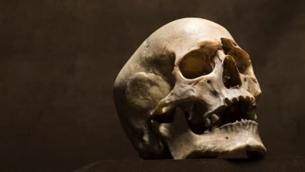 കാട്ടിനുളളിൽ മനുഷ്യന്റെ തലയോട്ടി കണ്ടെത്തി; ദുരൂഹത ഏറുന്നു; അന്വേഷണം ആരംഭിച്ച് പൊലീസ്