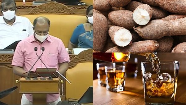 സംസ്ഥാന ബജറ്റ് 2022: മരച്ചീനിയില്‍ നിന്നും മദ്യം: ഗവേഷത്തിനായി 2 കോടി, റബ്ബർ സബ്സിഡിക്ക് 500 കോടി