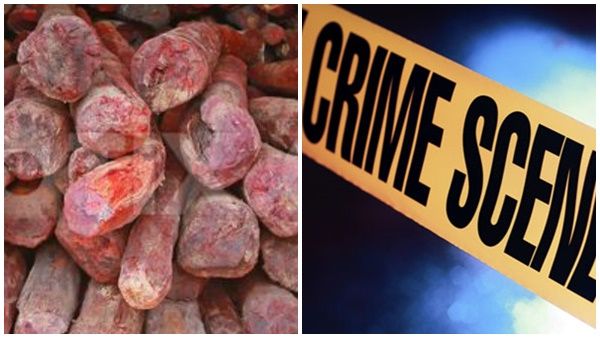 കൊച്ചിയിൽ വൻ രക്തചന്ദന വേട്ട; ദുബായിലേക്ക് കടത്താൻ ശ്രമം; കൈയ്യോടെ പൊക്കി ഡിആർഐ