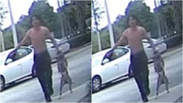 അമേരിക്കയില്‍ വ്യത്യസ്തമായ മോഷണം : പട്ടിയെകൊണ്ട് കടിപ്പിച്ച് പണം തട്ടി യുവാവ്