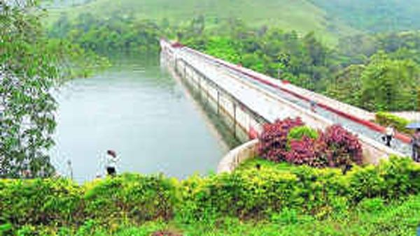 മരംമുറി വിവാദത്തില്‍ ക്ലീന്‍ചിറ്റ്; പിന്നാലെ ബെന്നിച്ചന്‍ തോമസ് വനംവകുപ്പ് മേധാവി