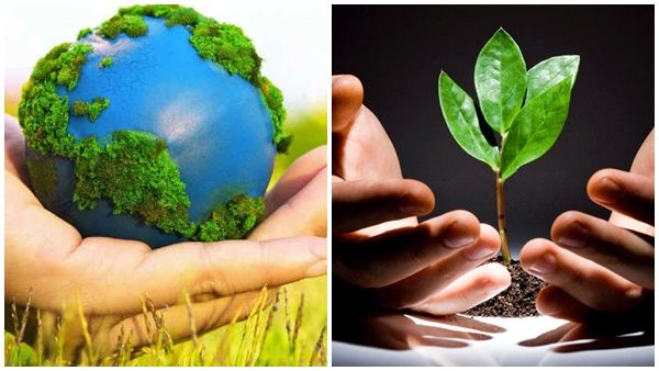 ലോക പരിസ്ഥിതി ദിനം: നാടാകെ നവകേരളം പച്ചത്തുരുത്തുകൾ! ഉദ്ഘാടനം നിർവഹിക്കാൻ മുഖ്യമന്ത്രി എത്തും