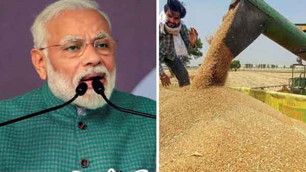 ഇന്ത്യയുടെ ഗോതമ്പ് വേണ്ടെന്ന് തുര്‍ക്കി, ചരക്ക് കപ്പല്‍ തിരിച്ചയച്ചു; കാരണമെന്തെന്ന് കേന്ദ്ര സര്‍ക്കാര്‍