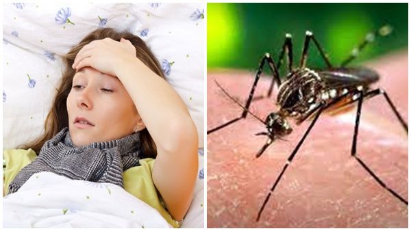 പനി നിങ്ങൾക്ക് പണിയായി മാറരുത്; പകർച്ചപ്പനി ഉയരുന്നു; മുന്നറിയിപ്പുമായി മെഡിക്കൽ ഓഫീസർ