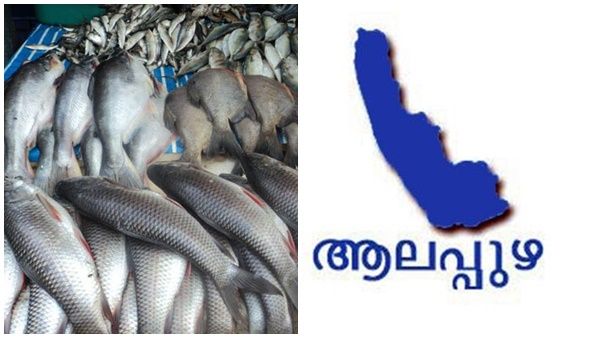 കുളത്തിനുളളിൽ വലയിട്ട് മീൻ മോഷണം; വാളയെ പൊക്കി; വലിച്ചു കയറ്റാനാകാതെ വലയുപേക്ഷിച്ച് പോയി