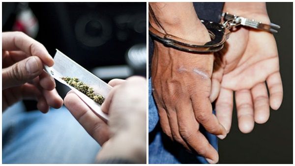 നഗരസഭാ കൗണ്‍സിലറുടെ കടയില്‍ നിരോധിത പുകയില ഉത്പന്നങ്ങള്‍; പിടിച്ചെടുത്തത് 3,600 പാക്കറ്റ്