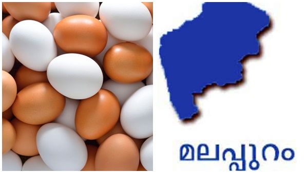 നീളത്തിലും വീതിയിലും ചെറുത്; 5.25 ഗ്രാം തൂക്കം; വൈറൽ ആകുന്നു ഈ കുഞ്ഞൻ മുട്ട
