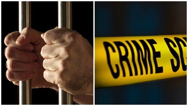 കൊലക്കേസ് പ്രതി ജയിൽ ചാടാൻ ശ്രമിച്ചു; ഒടുവിൽ മരത്തിൽ കുടുങ്ങി; വലവിരിച്ച് ശിഖരമൊടിച്ച് പോലീസ് !