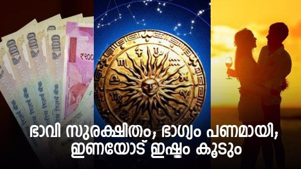 പണത്തിന്റെ പിന്തുണ! ബുദ്ധി, യുക്തി, ബിസിനസ് എന്നിവയിൽ നല്ലകാലം; ഇണയോട് ഇഷ്ടം മാത്രം...