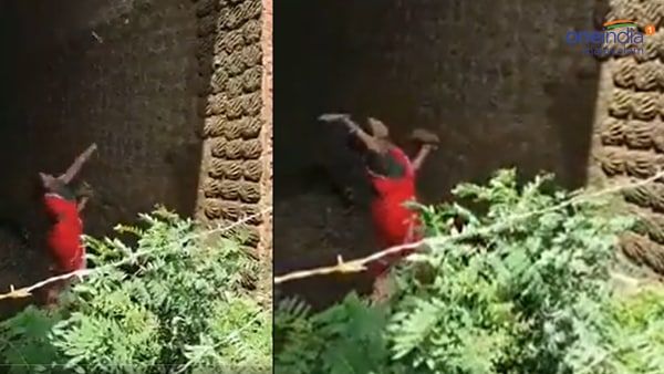 കൃത്യമായി അല്ലെ? ചാണകം എറിഞ്ഞത്? അവിശ്വസനീയമെന്ന് കണ്ടവർ; ഇന്ത്യൻ സ്ത്രീയുടെ വീഡിയോ വൈറൽ