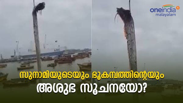 ആ ഭീമന്‍ മത്സ്യത്തെ കരക്കെത്തിച്ചു; സുനാമിയുടെയും ഭൂകമ്പത്തിന്റെയും അശുഭ സൂചന; ആശങ്കയില്‍ ജനങ്ങള്‍