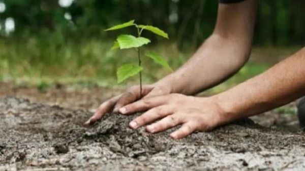 പെണ്‍കുട്ടികള്‍ മരം നടേണ്ടെന്ന് വാശി പിടിച്ച് അധ്യാപകന്‍; കാരണം കേട്ട് പരാതി നല്‍കി രക്ഷിതാക്കള്‍..