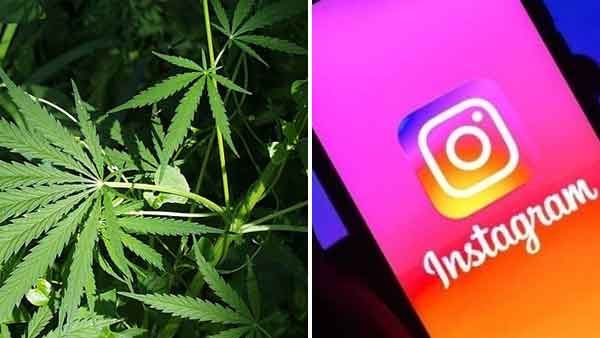 'പൈസയുണ്ട്, സാധനം കിട്ടാനില്ല'; വ്‌ളോഗറും പെണ്‍കുട്ടിയും ഇന്‍സ്റ്റഗ്രാമില്‍ പൊരിഞ്ഞ ചര്‍ച്ച, പണി കിട്ടി