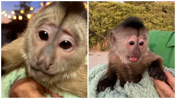 കാലിഫോര്‍ണിയ പോലീസിന് മൃഗശാലയില്‍ നിന്ന് കോള്‍: അന്വേഷിച്ചപ്പോള്‍ ഞെട്ടി, സംഭവിച്ചത് ഇതാണ്!!