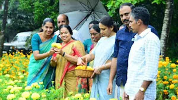 ചെണ്ടുമല്ലികയും ജമന്തിയും പൂവിട്ടു; ഇക്കുറി ഓണത്തിന് കണ്ണൂരിനുണ്ട് സ്വന്തം പൂക്കള്‍