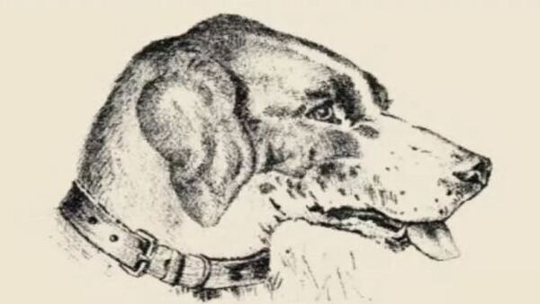 ഈ നായയുടെ ചിത്രത്തില്‍ ഒരാള്‍ മറഞ്ഞിരിക്കുന്നുണ്ട്, കണ്ടെത്തുന്നവര്‍ക്ക് ഒടുക്കത്തെ ബുദ്ധി: വൈറല്‍