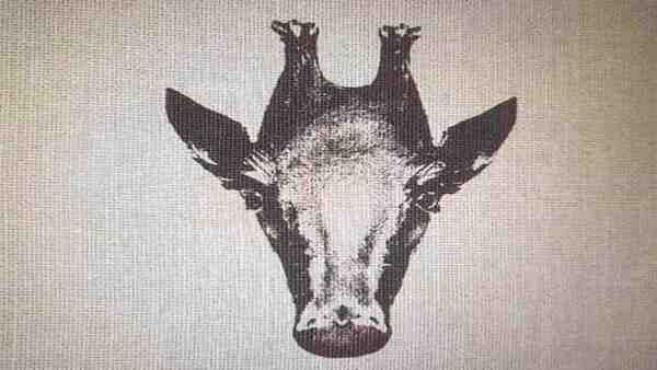 കണ്ണിനെ വിശ്വസിക്കരുത്; ഈ ചിത്രത്തില്‍ കാണുന്നതെന്താണ്, ജിറാഫോ പക്ഷിയോ? വൈറല്‍ ഒപ്ടിക്കല്‍ ചിത്രം