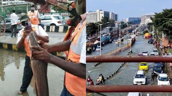 വെള്ളക്കെട്ടിൽ മുങ്ങി ബെംഗളൂരു, റോഡുകൾ തോടായി, മീനുകളും സജീവം...