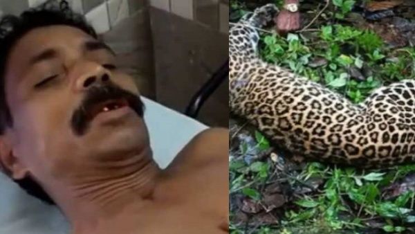 കഴുത്തിൽ കടിക്കാനായിരുന്നു ശ്രമം, കയ്യിൽ കടിച്ച് കുടഞ്ഞു... പുലിയെ കൊന്ന ഗോപാലന് പറയാനുള്ളത്