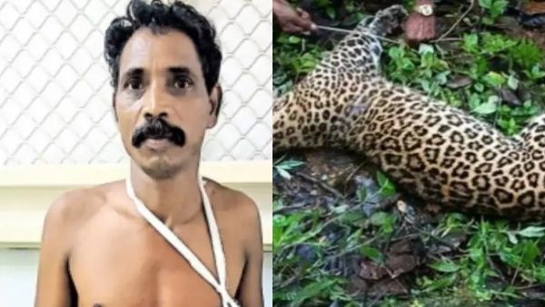 ആവേശമായി 'പുലി ഗോപലൻ'... സ്വീകരണങ്ങളും, അവാർഡുകളും, ആശുപത്രിയിൽ ആരാധക പ്രവാഹം