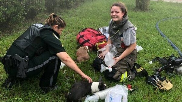 ആമസോണ്‍ ഡെലിവെറി ബോയുടെ കാരുണ്യ ഹസ്തം; കത്തിയെരിയുന്ന വീട്ടില്‍ നിന്ന് രക്ഷിച്ചത് 3 പട്ടിക്കുട്ടികളെ