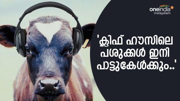 പശുക്കള്‍ക്ക് പാട്ടിനായി മ്യൂസിക് സിസ്റ്റം, ക്ലിഫ് ഹൗസില്‍ കാലിത്തൊഴുത്ത് നിര്‍മാണം; ചെലവ് എത്രയെന്നറിയാമോ?