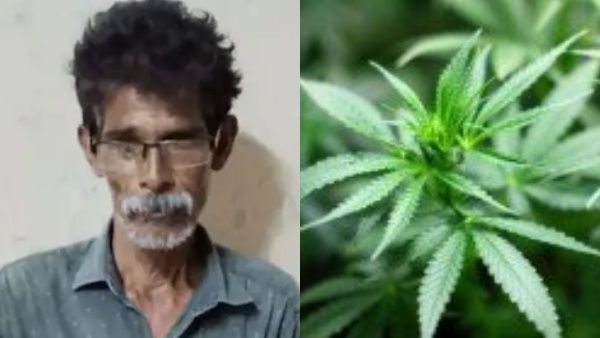 'പ്രാഞ്ചി വിൽക്കും എക്സൈസ് പിടിക്കും', വയനാട്ടിൽ കഞ്ചാവ് കേസ് പ്രതി വീണ്ടും പിടിയിൽ