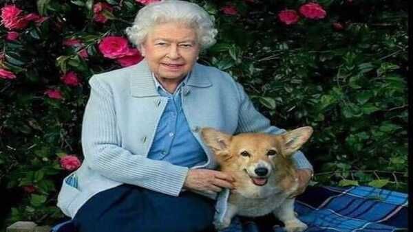 അനാഥമായി എലിസബത്ത് രാജ്ഞിയുടെ നായ്ക്കള്‍; ഏറ്റെടുക്കുന്നത് ഈ രാജകുമാരന്‍!!