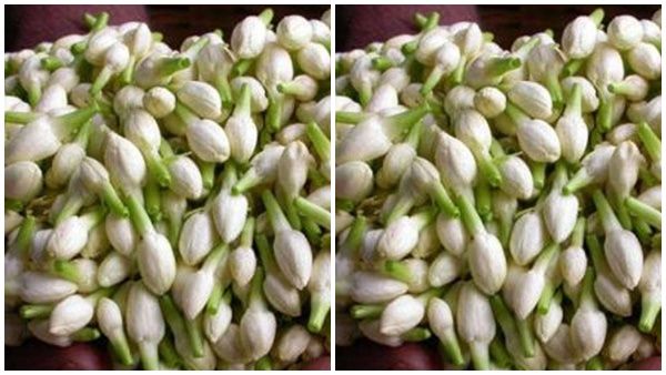 ഒരു കിലോ മുല്ലപ്പൂവിന് നിങ്ങൾ എത്ര രൂപ കൊടുക്കേണ്ടിവരും; ആയിരമോ രണ്ടായിരമോ അല്ല...നിങ്ങൾ ഞെട്ടും