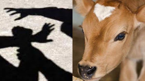 പശു വാഴപ്പഴം തിന്നതിൽ തർക്കം, പറമ്പ് ഉടമയെ വെട്ടി പശു ഉടമ