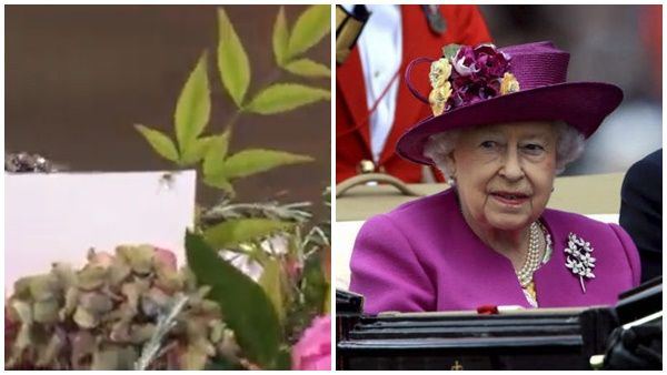 എലിസബത്ത് രാജ്ഞിയുടെ ശവപ്പെട്ടിക്ക് മീതെ പച്ച ചിലന്തി; നിമിഷനേരം കൊണ്ട് അപ്രത്യക്ഷമായി! സൂചനയോ?