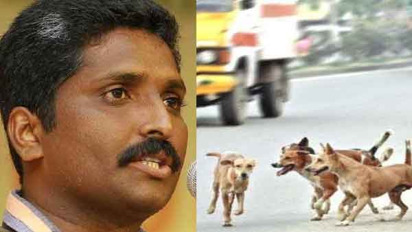 തെരുവ് നായകള്‍ അക്രമകാരികളാകാന്‍ കാരണം കശാപ്പുശാലകള്‍; ബിജെപി വക്താവ്