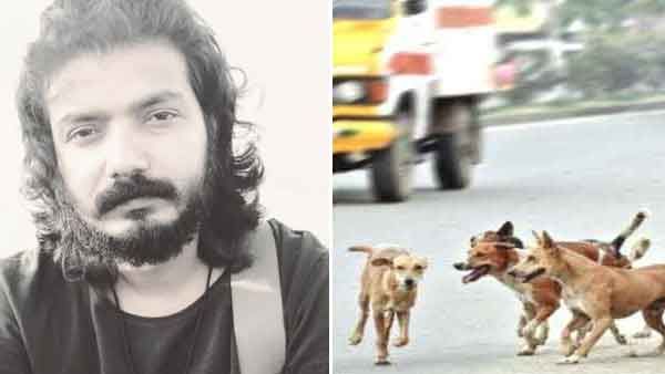 പനി വന്നെന്ന് കരുതി ആരും മനുഷ്യരെ കൊല്ലാറില്ലല്ലോ? തെരുവ് നായ വിഷയത്തില്‍ ശ്രീനാഥ് ഭാസി