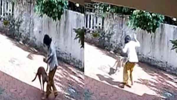 പാഞ്ഞടുത്ത് തെരുവ് നായ, വീട്ടമ്മയുടെ ശരീരത്തില്‍ 38 മുറിവുകള്‍; നാട്ടുകാരെയും ആക്രമിച്ച നായ ചത്ത നിലയില്‍