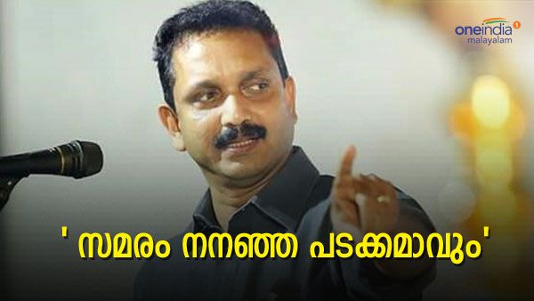 'സുപ്രീം കോടതിയിൽ തോറ്റത്തിനാണ് സമരം, നനഞ്ഞ പടക്കമാവും': കെ സുരേന്ദ്രൻ