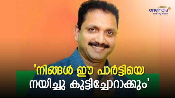 സ്വന്തം പേരിലുള്ള ആരോപണങ്ങളൊക്കെ എന്തായി..? സുരേന്ദ്രന്റെ പേജില്‍ സന്ദീപ് അനുകൂലികളുടെ പൊങ്കാല